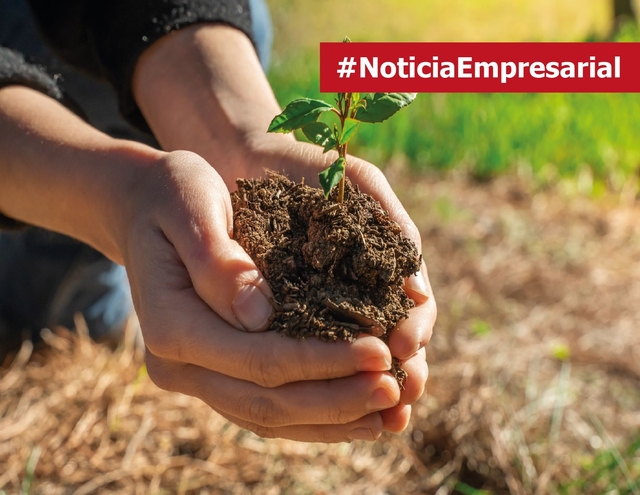 Ley 2173 de 2021: lineamientos para la siembra de árboles en las empresas